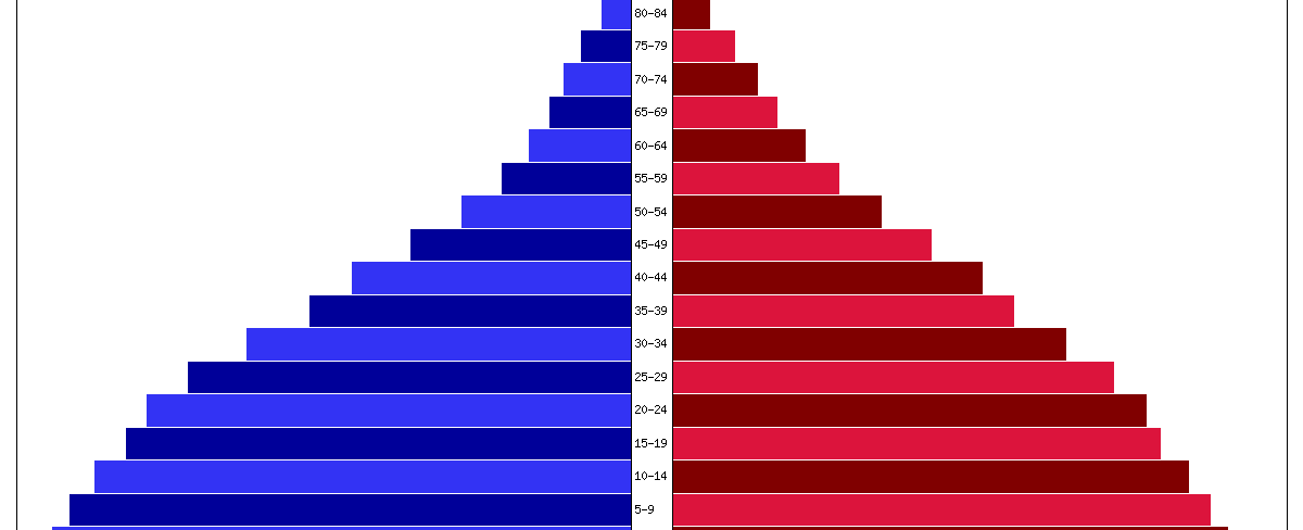 Guatemala’s Population Pyramid Explained-What It Tells Us About the Country