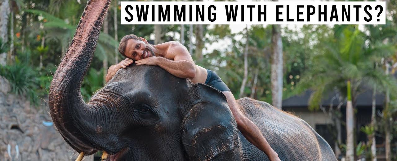 Swim With Elephants in Bali - A Magical Experience You’ll Never Forget