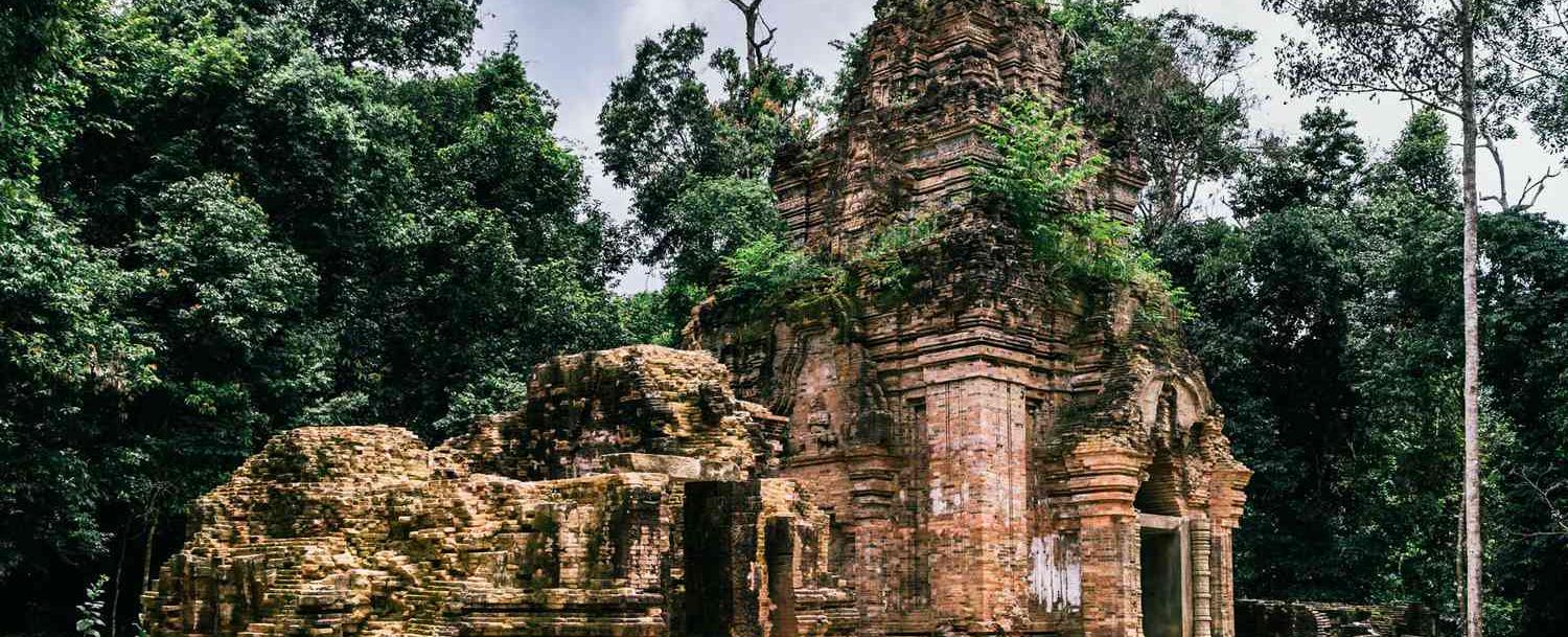 The Mysterious Trees of Angkor Wat - Nature Meets History