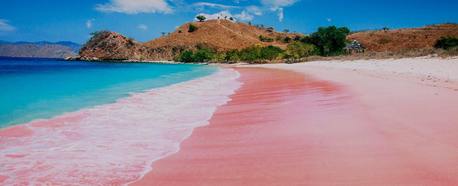 Pink Beach in Labuan Bajo - A Must-Visit Indonesian Wonder