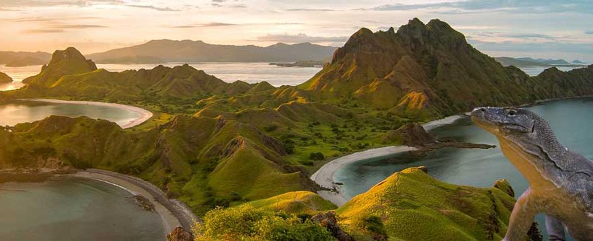 Komodo Island Tour from Bali-See the Legendary Dragons Up Close